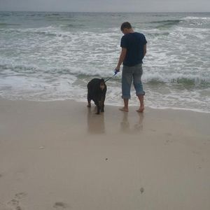 Meet your Posher, Nathan